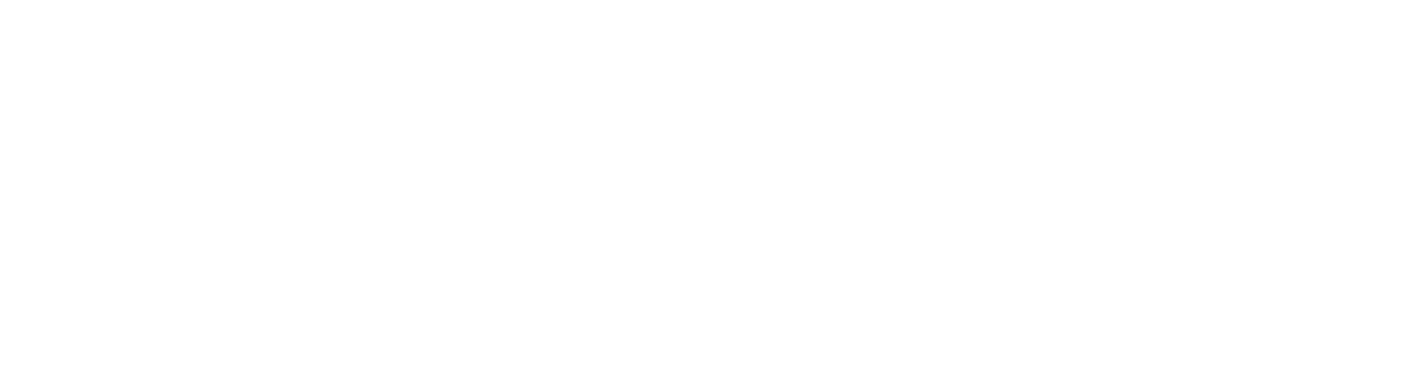 SoliderSound Logo